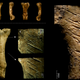 Multiple views of the toe bone and associated cut marks.